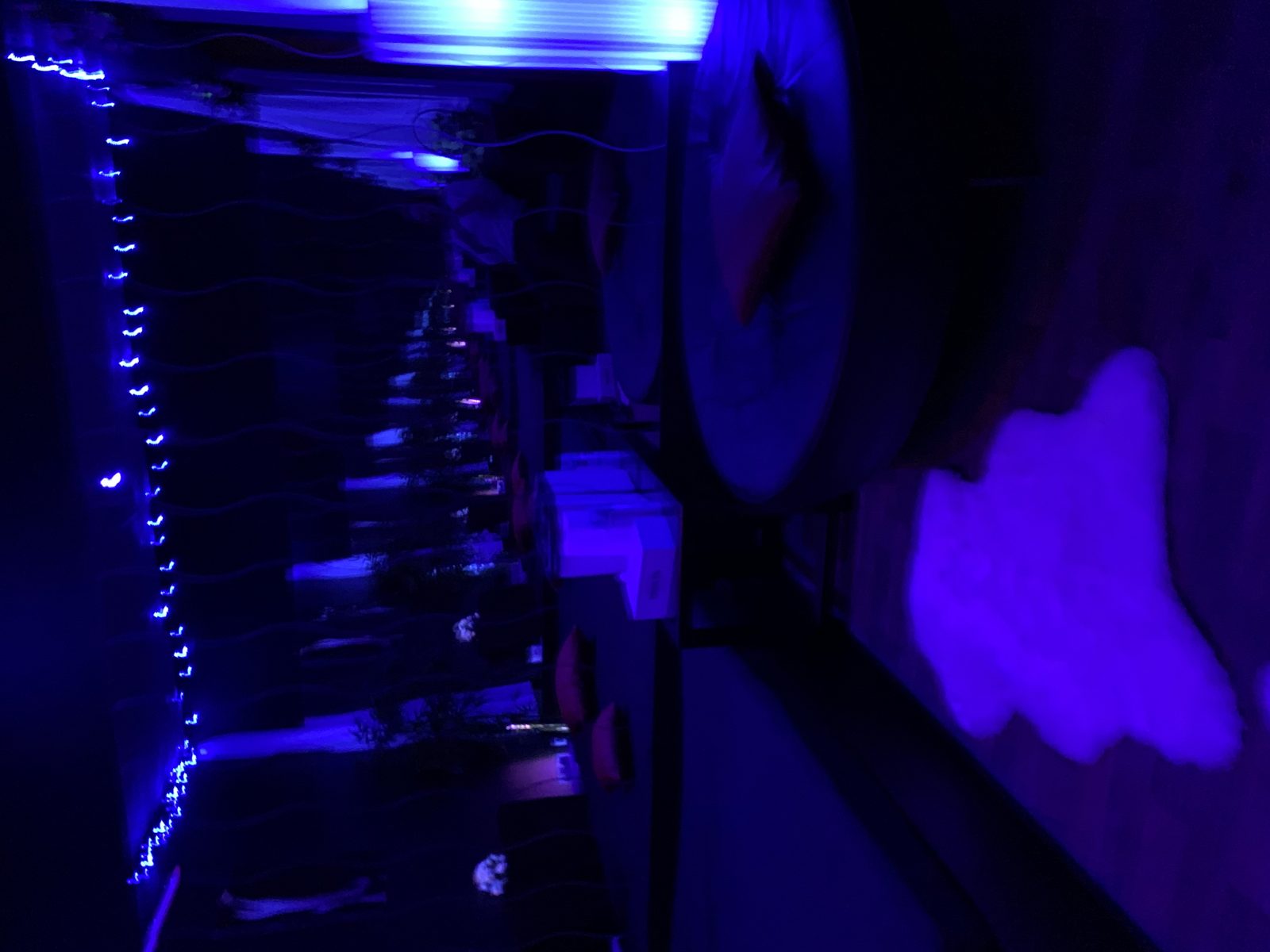 Clubfoto im Dreamlight