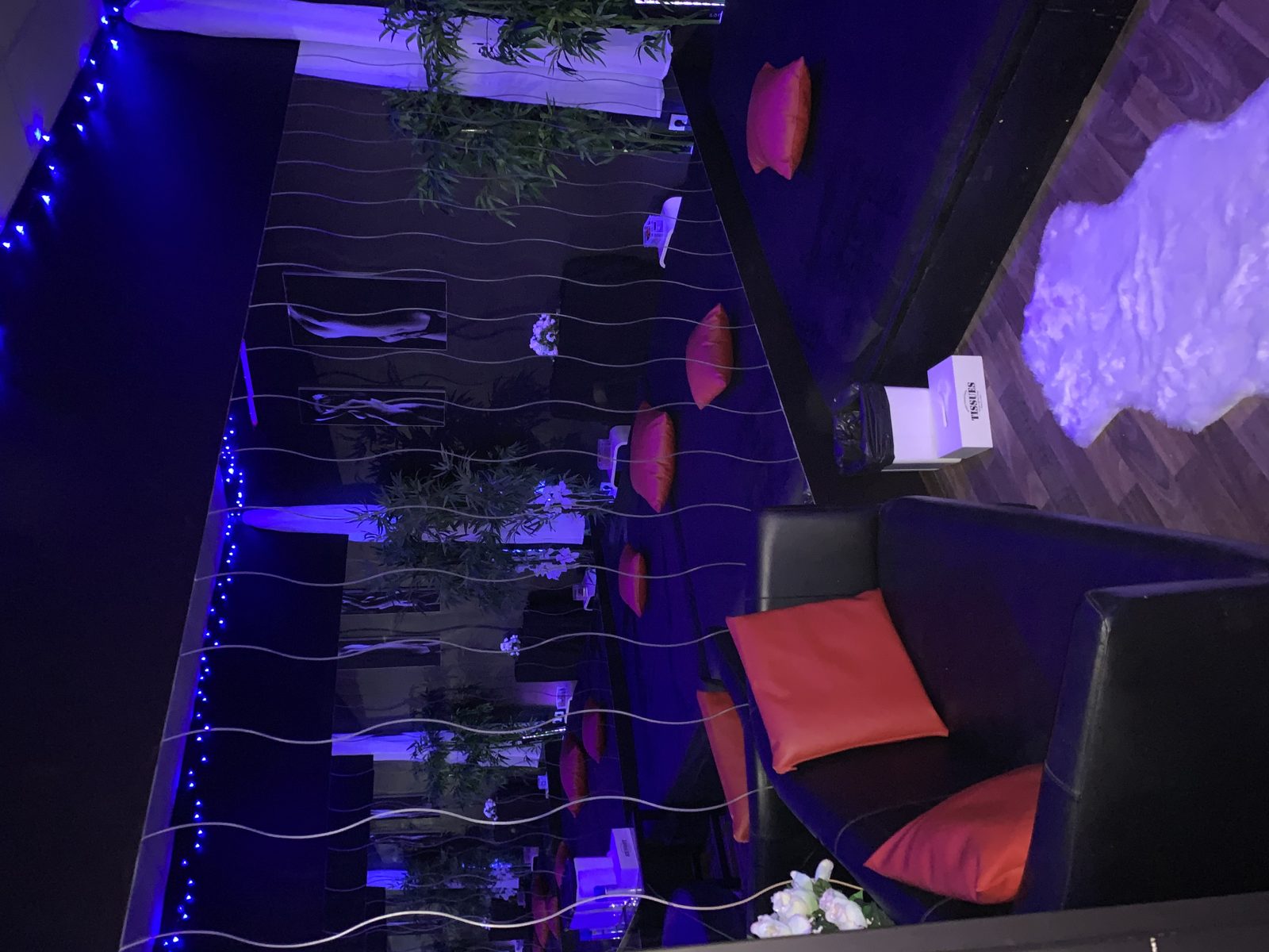 Clubfoto im Dreamlight