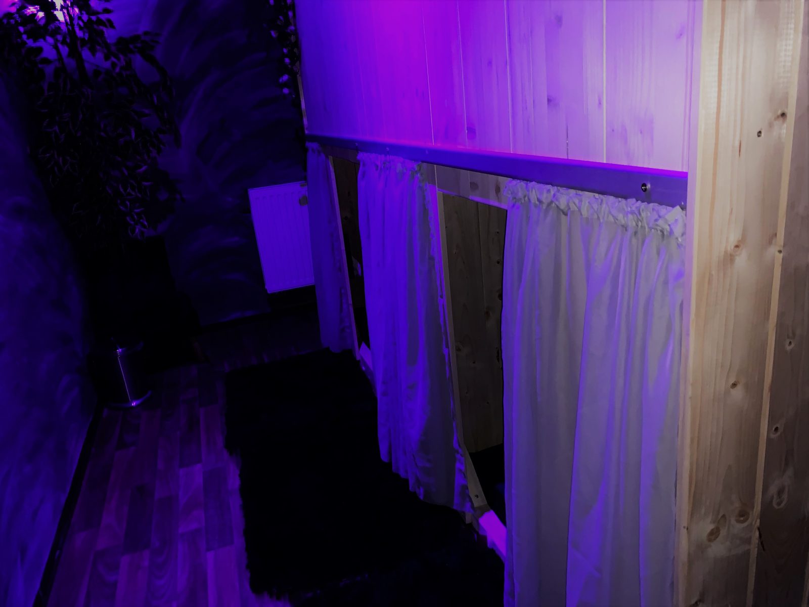 Clubfoto im Dreamlight
