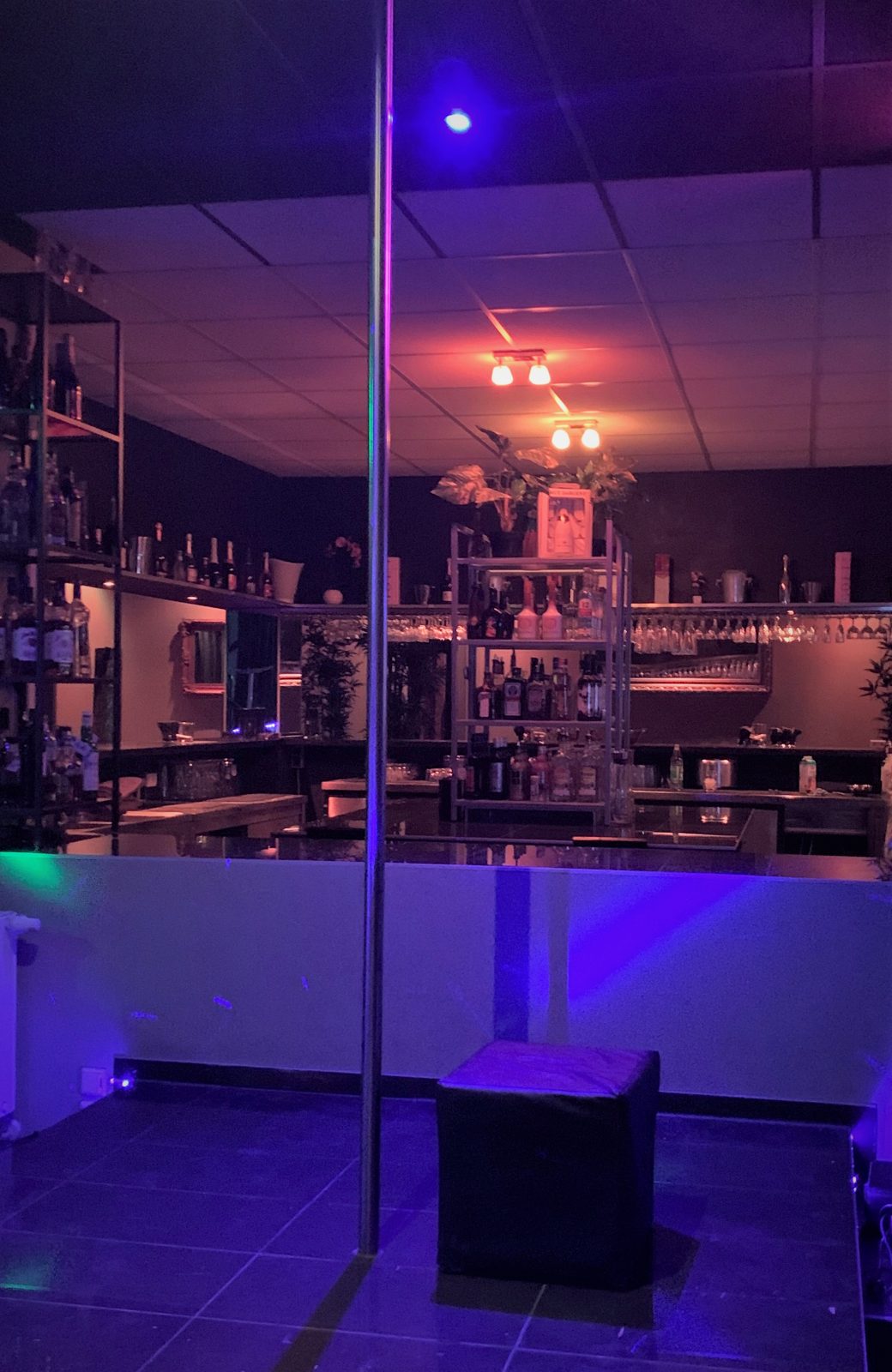 Clubfoto im Dreamlight